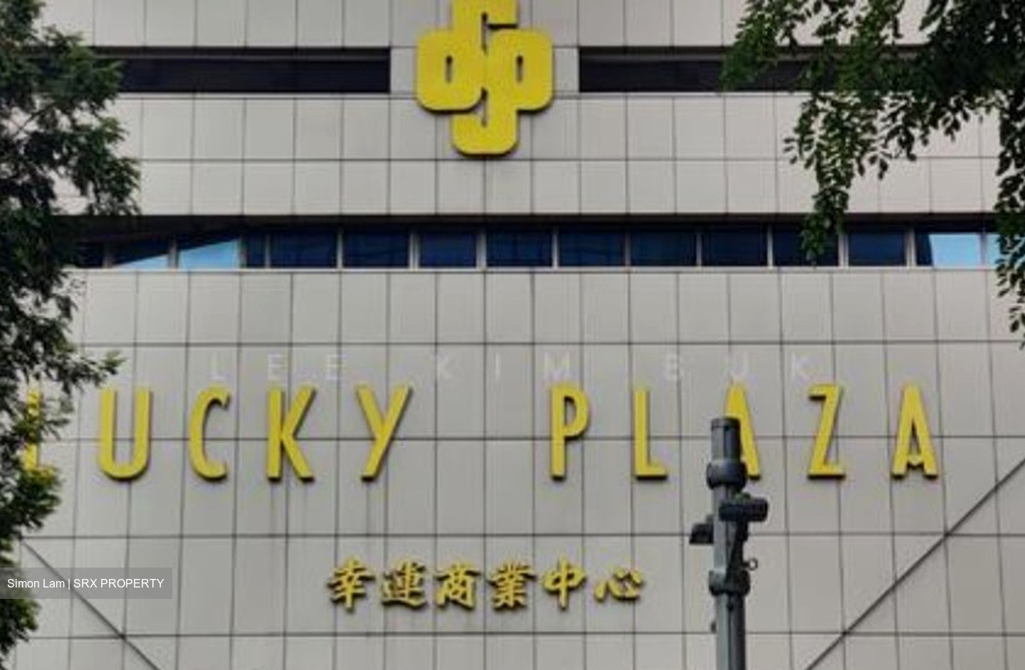 Lucky Plaza (D9), Retail #525033291